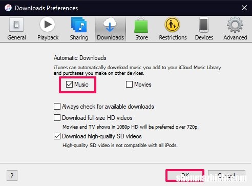 如何自动将歌曲从iCloud下载到Windows PC