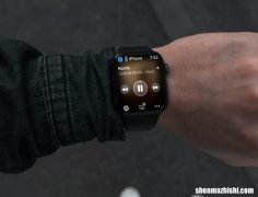 苹果手表禁止正在播放，阻止Apple Watch自动启动音频应用