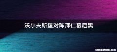 沃尔夫斯堡对阵拜仁慕尼黑