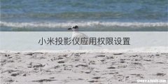 小米投影仪应用权限设置
