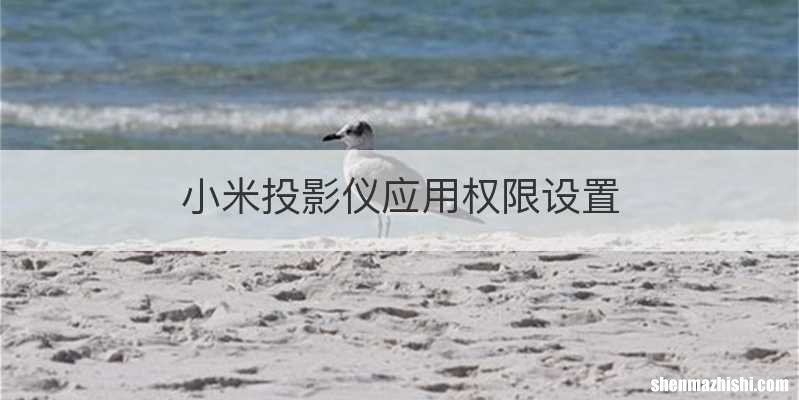 小米投影仪应用权限设置
