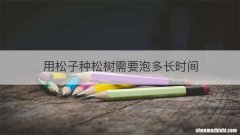 用松子种松树需要泡多长时间