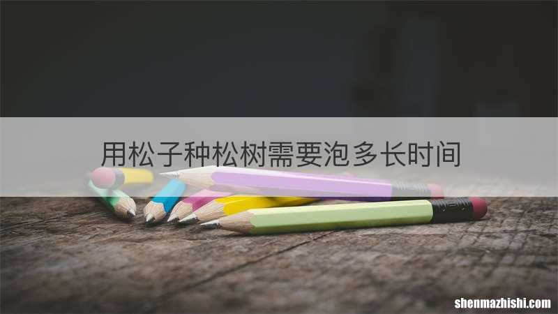 用松子种松树需要泡多长时间
