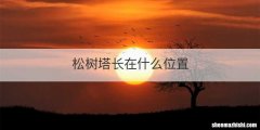 松树塔长在什么位置