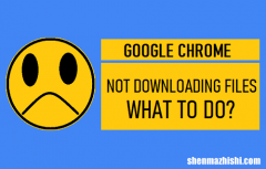 谷歌Chrome浏览器不下载文件：怎么办？