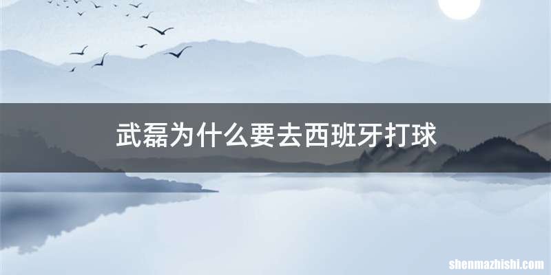 武磊为什么要去西班牙打球