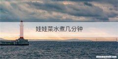 娃娃菜水煮几分钟