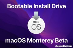 [苹果教程]制作macOS Monterey 启动U盘安装