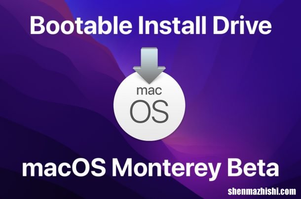 [苹果教程]制作macOS Monterey 启动U盘安装
