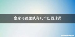 皇家马德里队有几个巴西球员