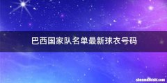 巴西国家队名单最新球衣号码