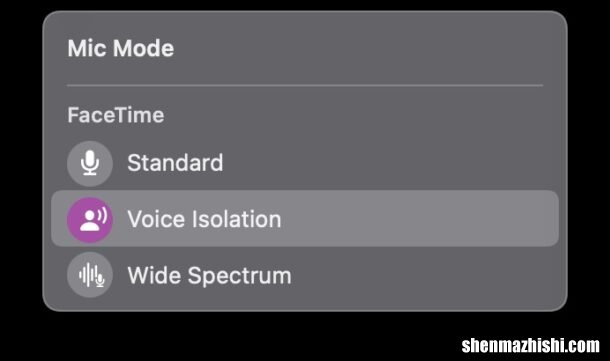 在Mac上通过FaceTime使用语音隔离