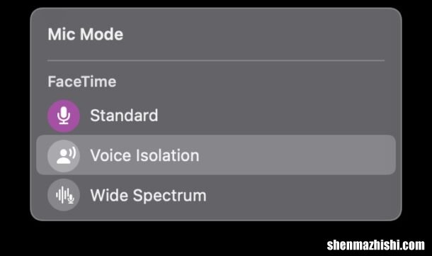 在Mac上通过FaceTime使用语音隔离