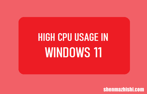 Windows11中的高CPU使用率：如何修复？