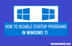 如何在Windows11中禁用启动程序，禁用启动项方法