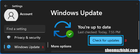 修复Windows11中鼠标响应缓慢