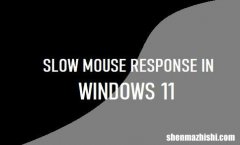 修复Windows11中鼠标响应缓慢