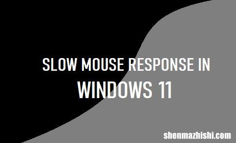 修复Windows11中鼠标响应缓慢