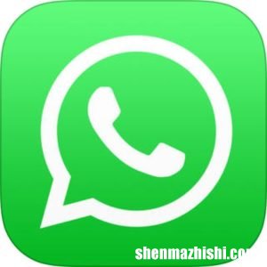 怎么让WhatsApp消息默认消失