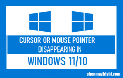 Windows11光标或鼠标指针消失修复方法