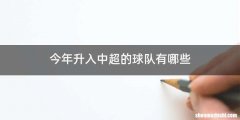 今年升入中超的球队有哪些