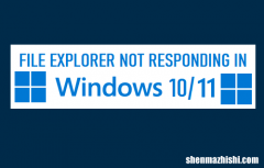 文件资源管理器在Windows11/10中没有响应
