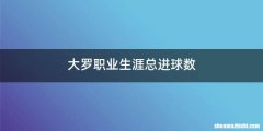 大罗职业生涯总进球数