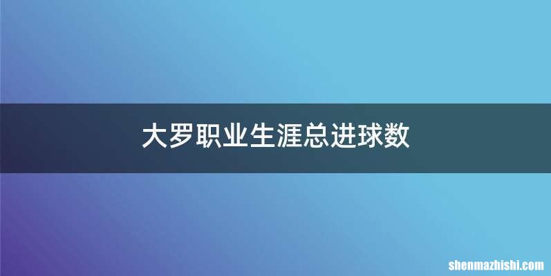 大罗职业生涯总进球数