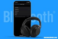 如何在iOS15中标记iPhone和iPad上的蓝牙设备