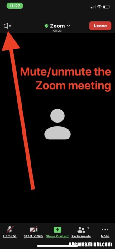 iPhone和iPad的zoom怎么静音