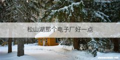 松山湖那个电子厂好一点