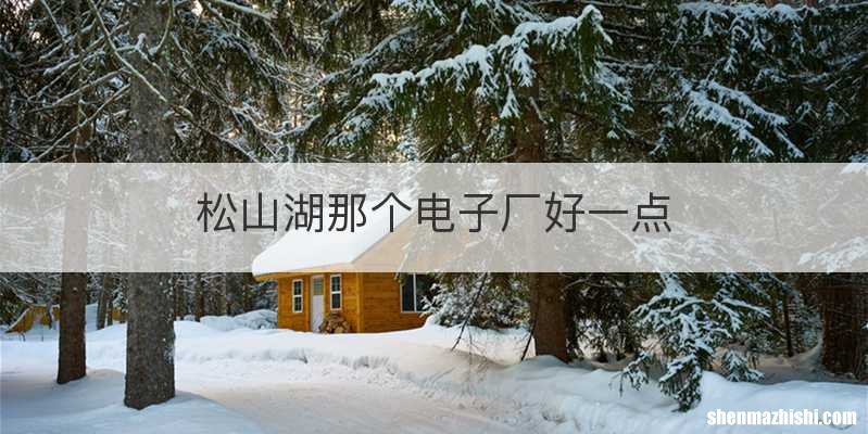松山湖那个电子厂好一点