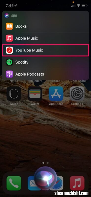 怎么在iPhone和iPad上设置默认音乐播放器