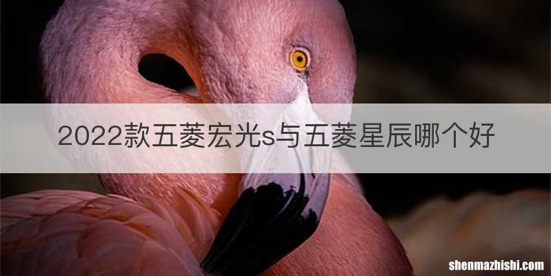 2022款五菱宏光s与五菱星辰哪个好