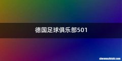 德国足球俱乐部501