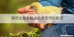 研究生报名截止后是否可以取消