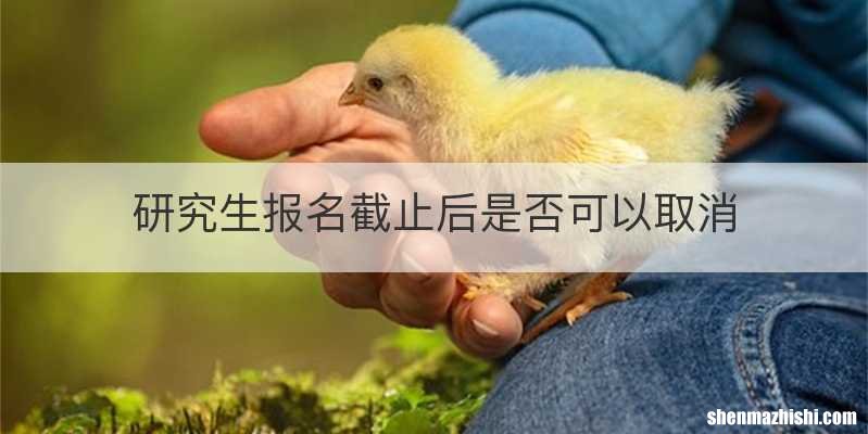 研究生报名截止后是否可以取消