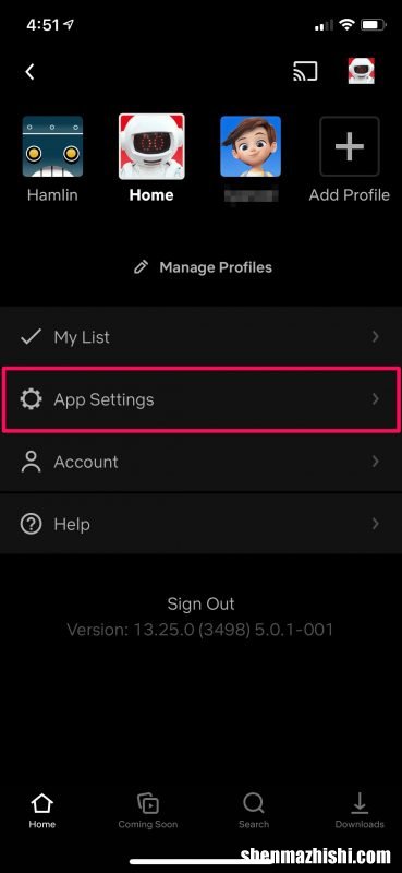 如何在iPhone上的Netflix中使用低数据模式