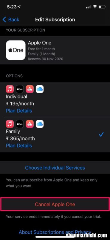 如何在iPhone和iPad上结束免费Apple One试用订阅