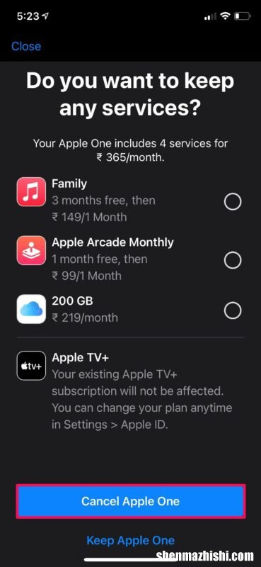 如何在iPhone和iPad上结束免费Apple One试用订阅