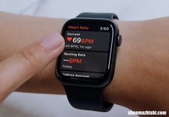 如何设置Apple Watch通知高心率