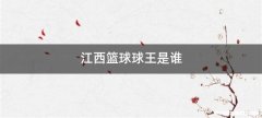 江西篮球球王是谁