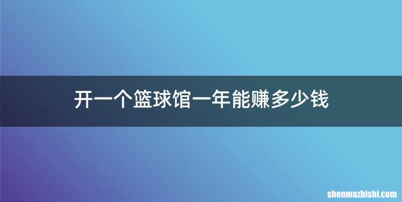 开一个篮球馆一年能赚多少钱