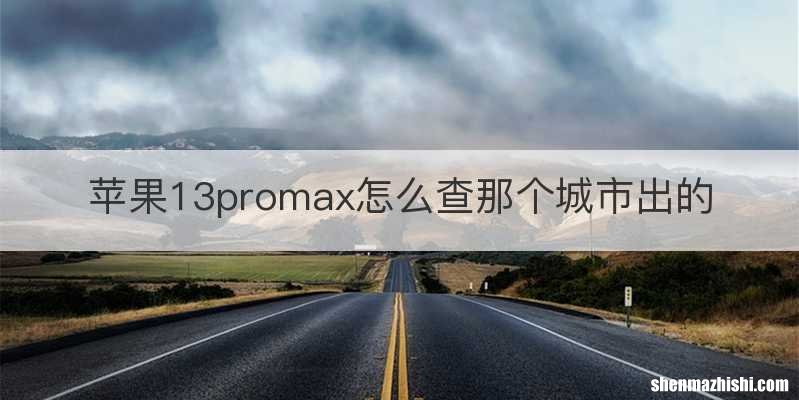 苹果13promax怎么查那个城市出的