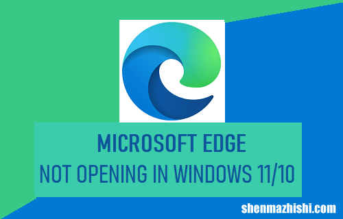 微软Edge无法在Windows11/10中打开[修复方法]