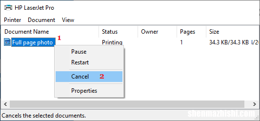 设置方法 如何在Windows11/10中使打印机联机