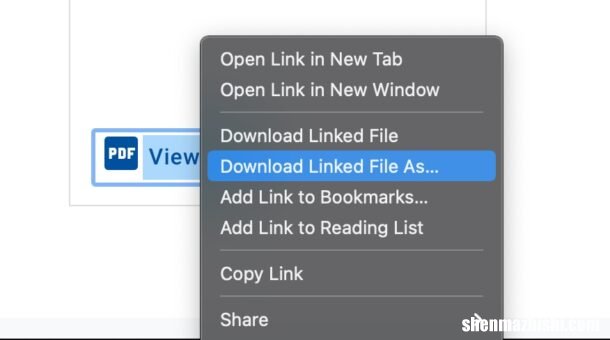 如何在Mac上修复“被阻止的插件”PDF Safari 错误