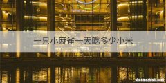 一只小麻雀一天吃多少小米