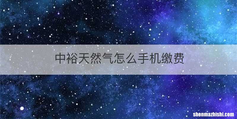 中裕天然气怎么手机缴费