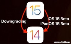 从iOS15降级而不丢失数据，降级iOS14详细教程
